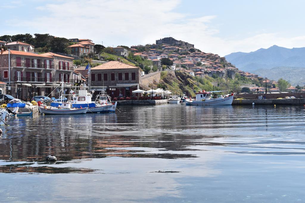 Villa Molivos Views 米蒂姆纳 外观 照片