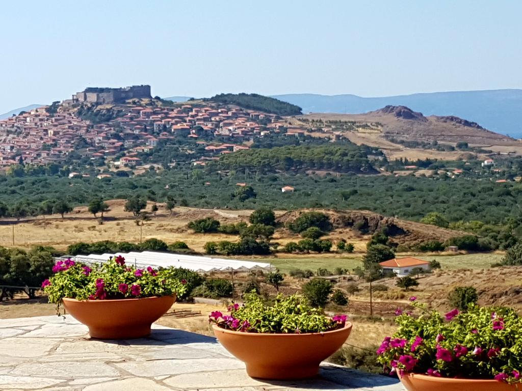 Villa Molivos Views 米蒂姆纳 外观 照片