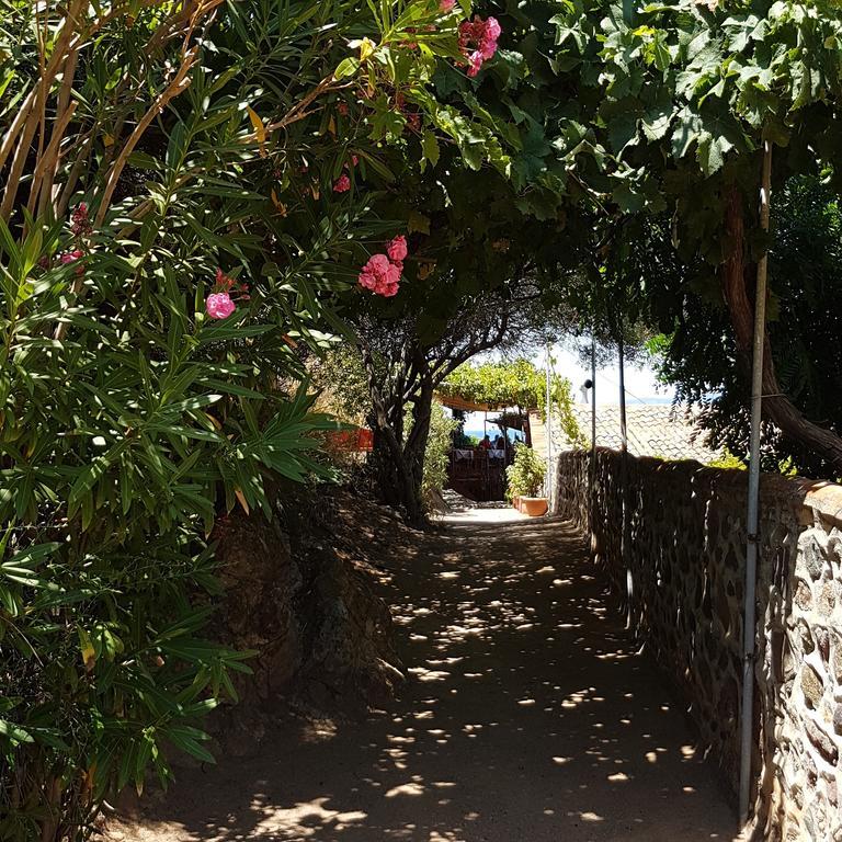 Villa Molivos Views 米蒂姆纳 外观 照片